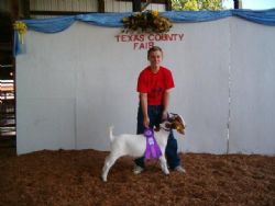 Hill Country Farm with their GC Wether Out of A Bear Creek Buck (18 Wethers were in the class)