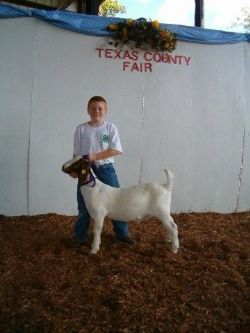 Best Rate of Gain Wether Out of A Bear Creek Buck