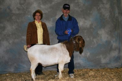 RA Mr. Texas Gunner Yearling Champion Buck, NEW Early Spring Show, Paragould, AR 3/28/09