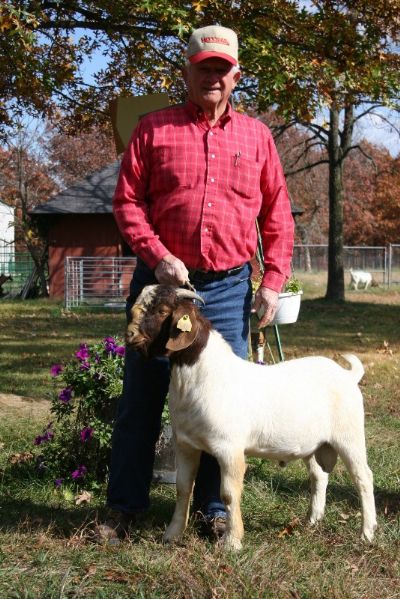Bear Creek BC A544 Son of Bar None 5's Jack Blue and Bear Creek BC P6 Angel. Staying In MO