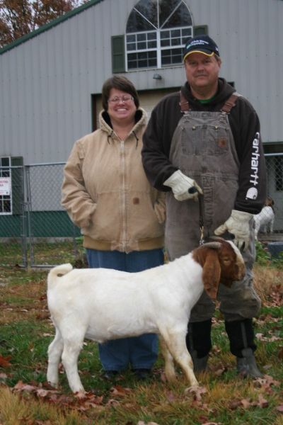 Bear Creek BC A547 Mark of a Gentleman Son of TLB 9004 and BC W304 Pocohantas, Staying in MO.