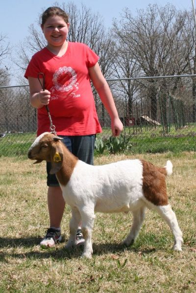 Bear Creek BC A506 Son of Bar None 5's Jack Blue and Bear Creek BC W263 Cheetah, Staying in MO