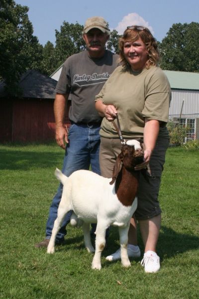Bear Creek BC A546 Son of Bar None 5's Jack Blue and Bear Creek BC P6 Angel. Heading to IL