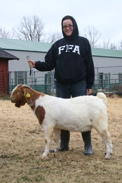 Bear Creek BC A561 Son of TLB 9004 and Bear Creek BC X349 Holly. Staying in MO.
