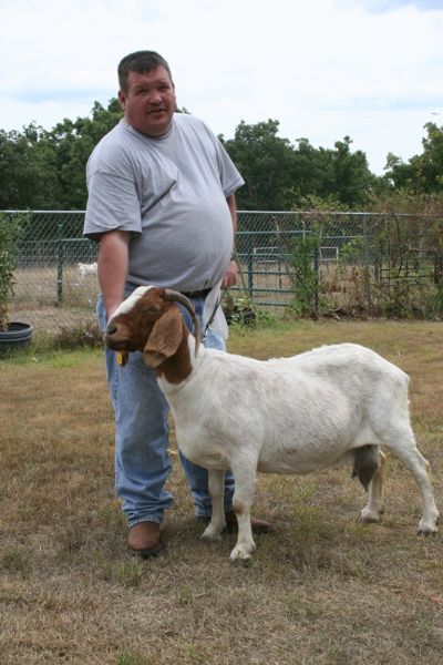 EGGS Pataca out of 1PDL Sunny Acres Starski *Ennobled* and EGGSpensive Mistress. Staying in MO.