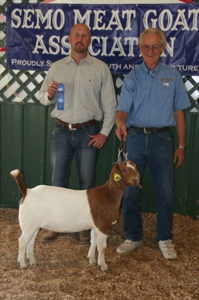 Bear Creek BC D826 Gator's Scarlett 1st place at all 3 Shows Park Hills MO 05/23 and 05/24/2015