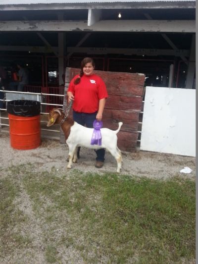 Keilah with Bear Creek BC D866 winning Overall Grand Champion Buck, Nevada, MO  July 2015