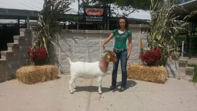 Sydney with Bear Creek BC D824 Melissa, Overall Grand Champion Doe, Tall Corn ABGA Open Show #2