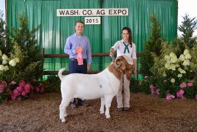 Bear Creek BC D794 Joe Kidd and Valerie. Joe was Rsv GC Buck . Congrats Valerie!!!