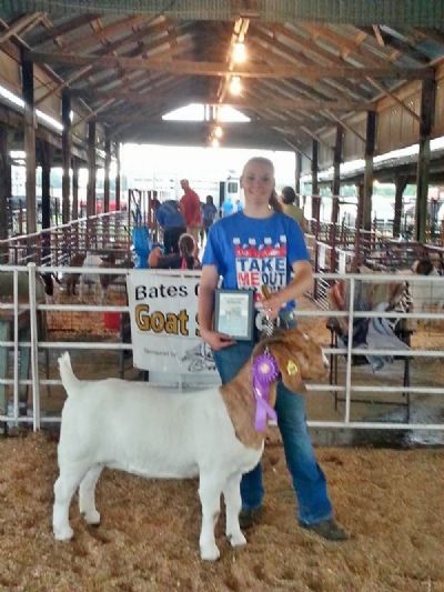 Bear Creek BC D869 Allison O/A GC at Cass, Pettis Henry and Bates County Fair and FFA District.2016