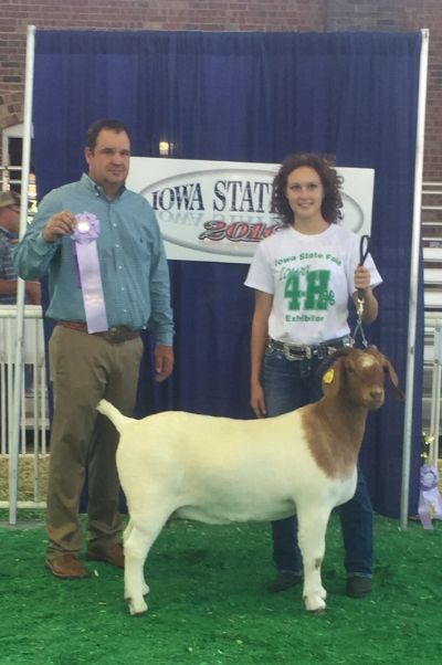 Bear Creek BC D824 Melissa.  Rsv. Senior Champion Doe.  Congrats to Sydney Black in Iowa!!