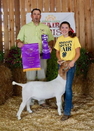 Congrats to Elizabeth Lang Overall Grand Champion Wether Johnson County KS  Sired by Argo out of 512