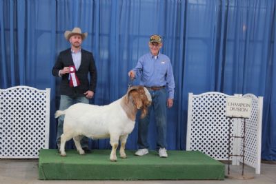 Bear Creek BC E894 Harambe 21 April 2018 Nick Hammett Judge