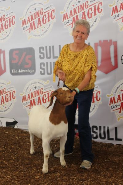 Bear Creek BC J1129 Sheeza Blessing 3rd place at Ozark Empire Fair, Springfield, MO 3 Aug 2020