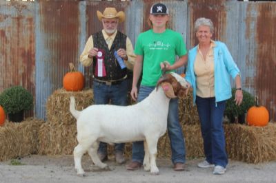 MCR Let R' Rip 1st place & Jr. Champion at West Point 4-H Shoot Out in Nevada, MO 9/19/20