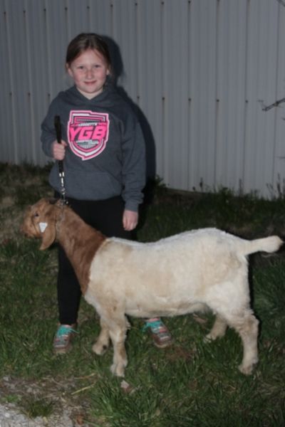 Doe Scrapie Tag 144.  Sired by Bear Creek BC E894 Harambe (SQ)  and out of BC H1111.  Staying in MO
