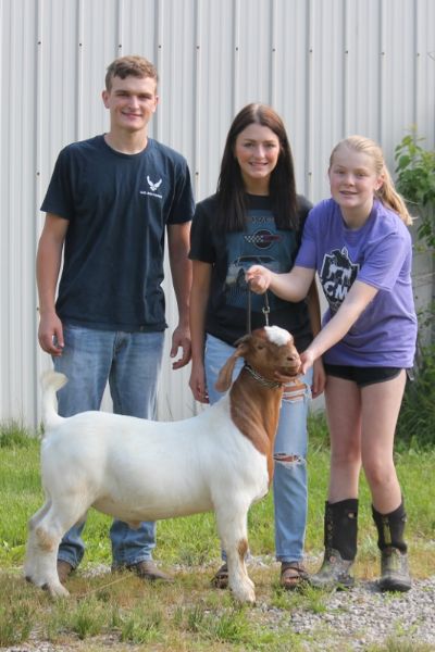 Bear Creek BC K1167.  Sired by BC E894 Harambe and out of BC F991 Melania.  Staying in MO.