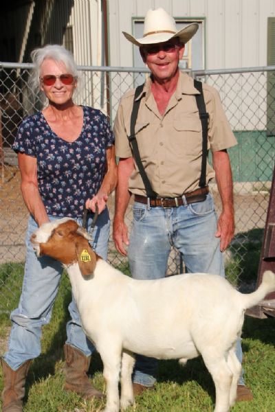 Bear Creek BC L1181 sired by MCR Let R' Rip and out of BC J1144 Melania.  Staying in Missouri.
