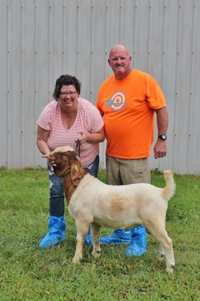 Bear Creek BC K1165 Sired by BC G1068 Harambes Dream Maker out of BC G996.  Staying in MO