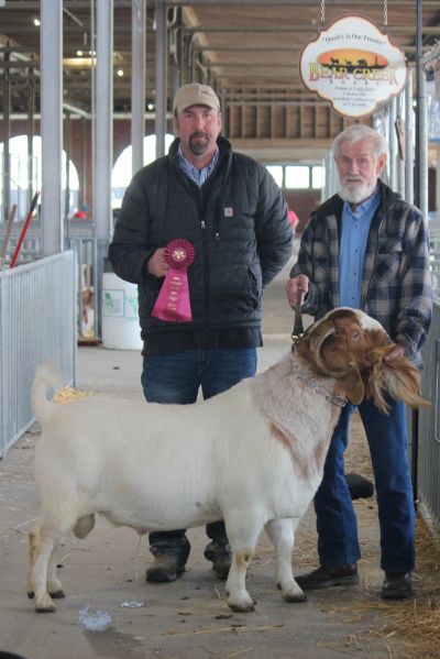 Bear Creek BC G1068 Harambes Dream Maker Rsv Sr. Ch Show Me Spring Spectacular Show 1