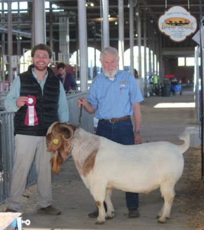 Bear Creek BC G1068 Harambes Dream Maker Senior Champion Show Me Spring Spectacular Show 2