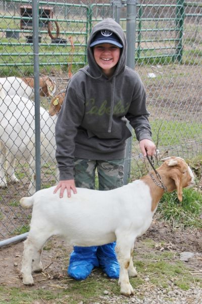 BC 1190/Scrapie 148 Sired by BC E894 Harambe and out of BC F935 Hatchet's Wildflower