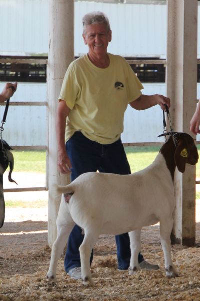 Bear Creek BC K1157 Mona Lisa.  Placed 3rd in the West Point 4H ABGA Shoot Out, Nevada, MO Sep 2021