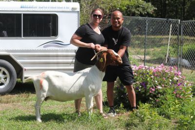 Bear Creek BC F935 Hatchet's Wildflower.  Sired by ADVBG Hatchet and out of BC D766 Sheeza Dream