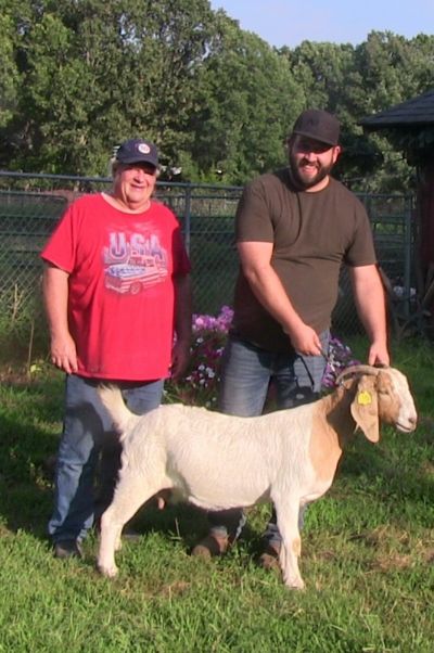 Bear Creek BC K1159 Heather Sired by BC J1135 Dream Catcher and out of BC J1116 Cheetah's Pride