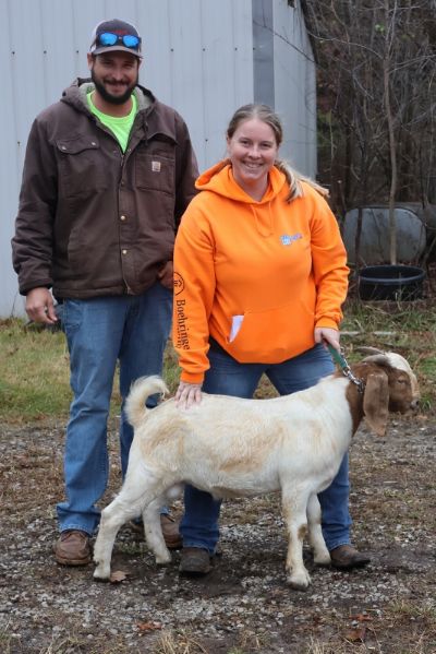 Bear Creek BC P1335 Sired by BC M1220 Dream Chaser and out of BC M1217.  Staying in MO