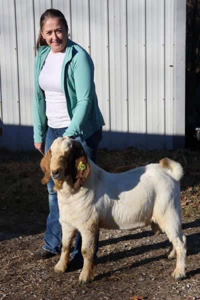 Bear Creek BC N1290 Sired by BC K1153 Seabiscuit and out of BC M1223 Claire.  Staying in MO
