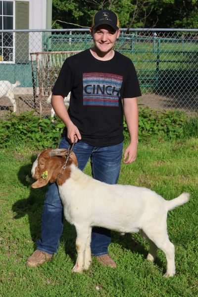 Bear Creek BC N1285 Sired by Bear Creek BC M1220 Dream Chaser and out of BC L1188.  Staying in MO.