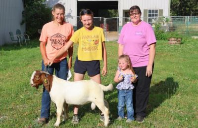 Bear Creek BC N1294 sired by BC L1193 Main Man and out of BC J1129 Sheeza Blessing.  Staying in MO