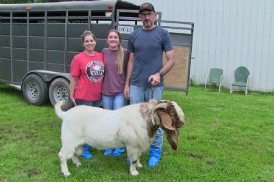 Bear Creek BC N1193 Main Man sired by BC E894 Harambe and out of BC F991 Melania.  Staying in MO