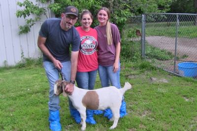 Bear Creek BC N1302 sired by BC K1153 Seabiscuit and out of BC L1202 Stardust.  Staying in Missouri.