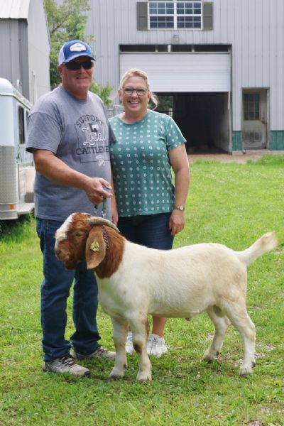 Bear Creek BC N1295 sired by BC M1220 Dream Chaser and out of BC L1177 Sheeza Rip.  Staying in MO.