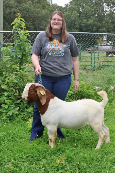 Bear Creek BC N1300 sired by BC K1153 Seabiscuit and out of BC G1051 Chore Boys Class Act.