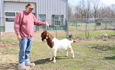 Bear Creek BC P1344 Sired by BC N1304 Gentleman Jim and out of BC K1355 Country Girl. Heading to KS