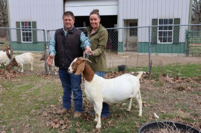 Bear Creek BC M1221. Sired by 203CB Whiskey Tango and out of BC BC K1164 Dream Angel.  Heading to OK