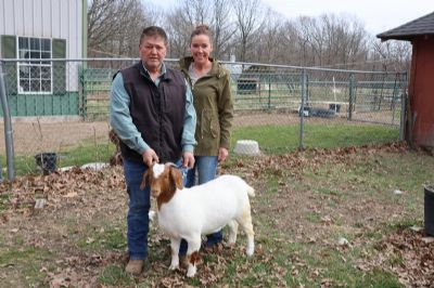 Bear Creek BC R1372 Tilly.  Sired by KMSL ROR1 Smoke Show and out of BC J1129.  Heading to OK