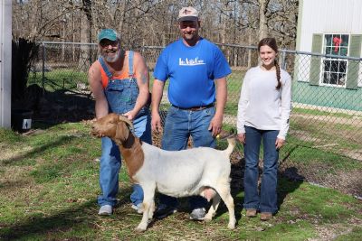 Bear Creek BC M1238 Sired by BC L1201 Argos Karma and out of BC J1144.  Staying in MO.