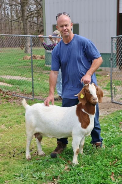 Bear Creek BC J1136 sired by BC E894 Harambe and out of BC F935.  Staying in MO