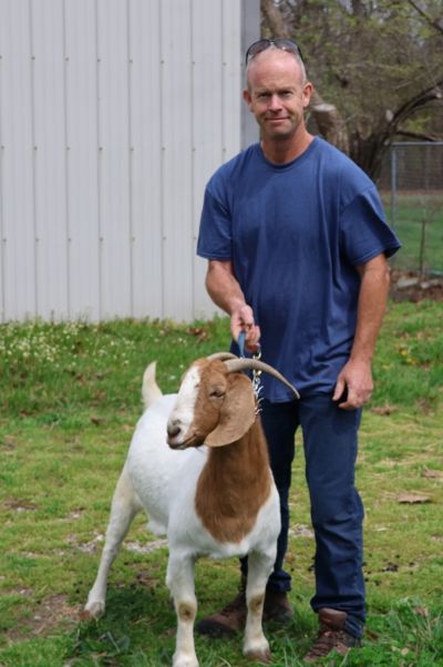 Bear Creek BC M1245 sired by BC K1153 Seabiscuit and out of BC G996.  Staying in MO.