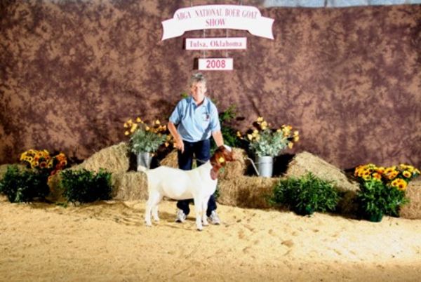 Bear Creek BC W274 Running Deer - Boer Goat Doe