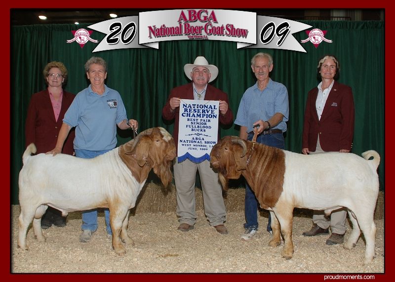 Bear Creek BC W213 Joshua is on the left. RA Mr. Texas Gunner is on the right.