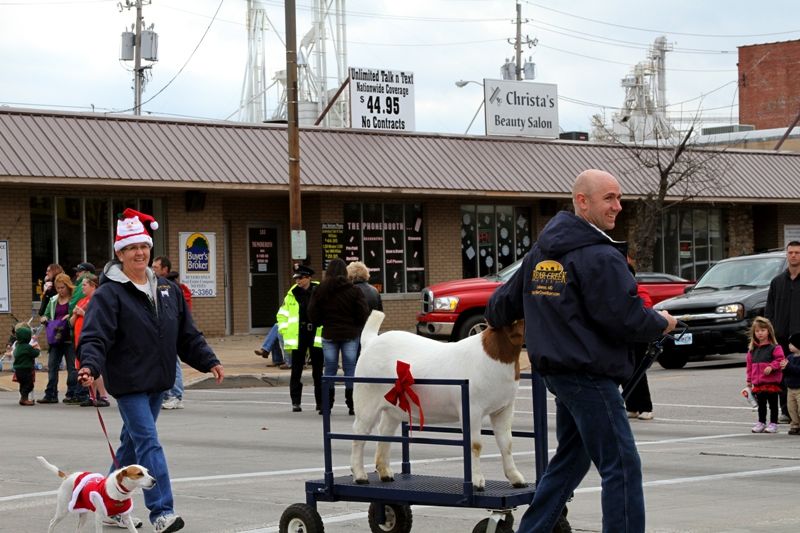 Connie, Tami the Jack Russell, Kevin and Mikayla the Boer Goat in Lebanon, MO Christmas Parade 2011