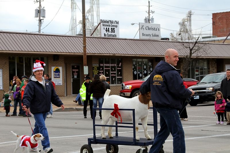 Connie, Tami the Jack Russell, Kevin and Mikayla the Boer Goat  in Lebanon, MO Christmas Parade 2011