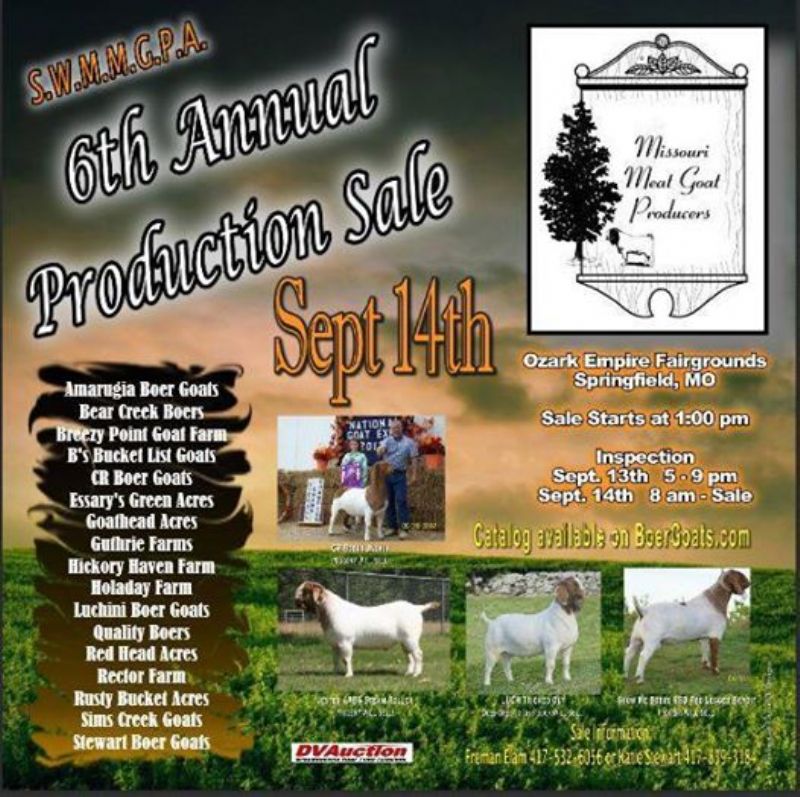 SW Missouri Meat Goat Producers 6th Annual Production Sale Boer Goat Doe