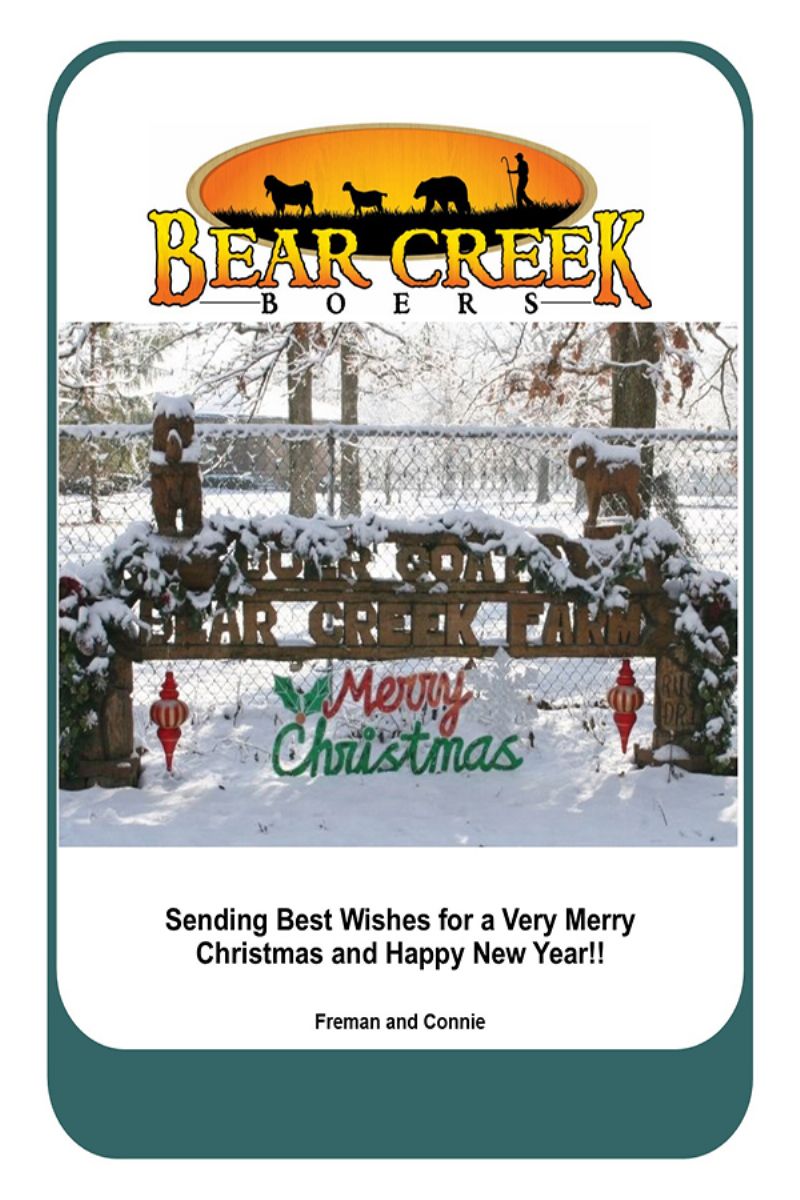 Bear Creek Merry Christmas 2021 - Boer Goat Buck