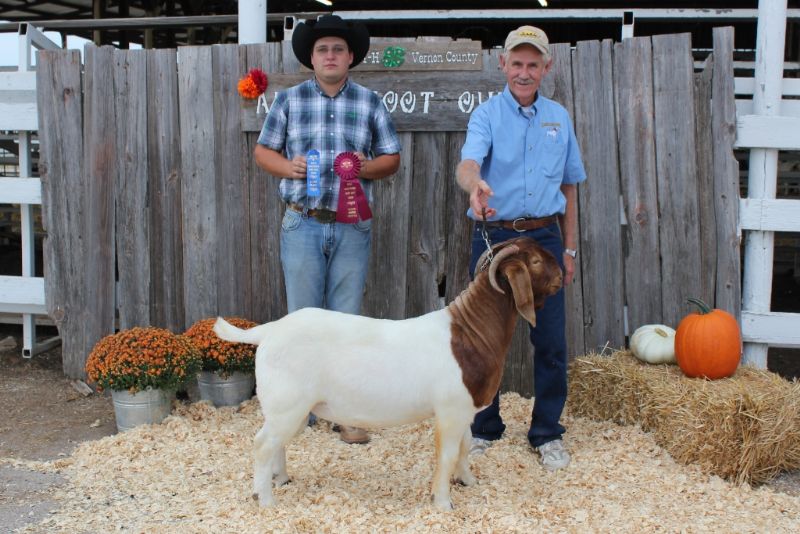 Bear Creek BC F974 Argo's Masterpiece.  1st place and Rsv. Junior Champion Buck. Show 2, Nevada,